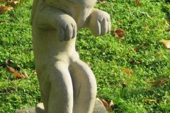 IMG_7513