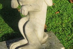 IMG_7514
