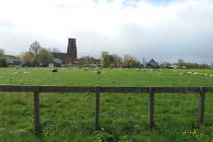 IMG-20240420-WA0005