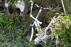 IMG-20240420-WA0006