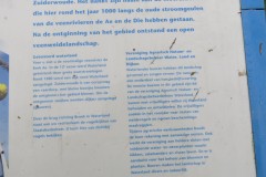 IMG_6868
