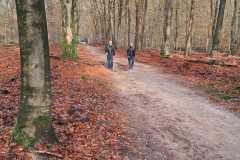 IMG-20251122-WA0004