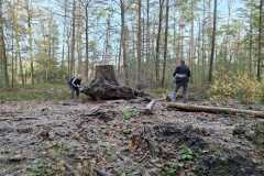 IMG-20251122-WA0007