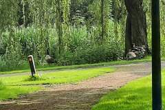 FB_IMG_1716120618902