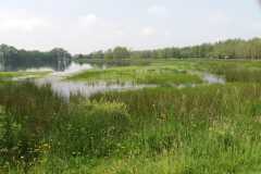 IMG-20240518-WA0005