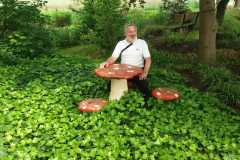 IMG-20240518-WA0009