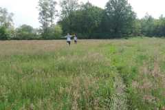 IMG-20240518-WA0010