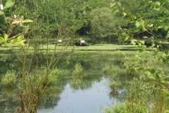 IMG-20240518-WA0012