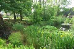IMG-20240518-WA0014
