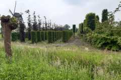 IMG-20240518-WA0017