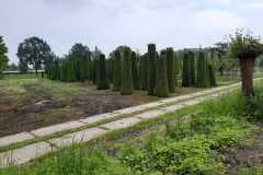 IMG-20240518-WA0018