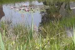 IMG-20240518-WA0019