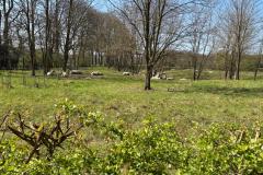 IMG-20250412-WA0001