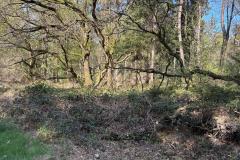 IMG-20250412-WA0004