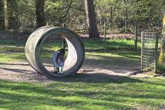 IMG-20250412-WA0007