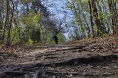 IMG-20250412-WA0013