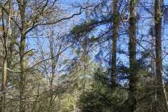 IMG-20250412-WA0014