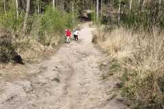 IMG-20250412-WA0015