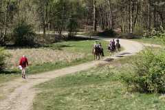 IMG-20250412-WA0017