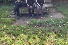 IMG-20251004-WA0005