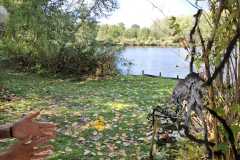 IMG-20251004-WA0011