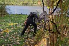 IMG-20251004-WA0012