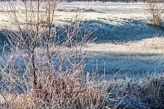 20250201_103250