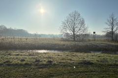 IMG-20250201-WA0000