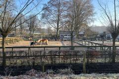 IMG-20250201-WA0001