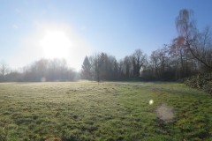IMG_7632
