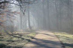 IMG_7640