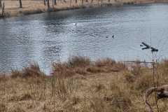 IMG-20260222-WA0002