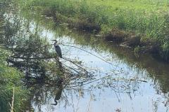 IMG-20240914-WA0000