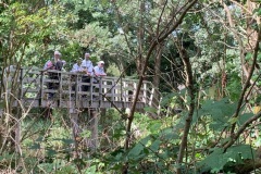 IMG-20240914-WA0003
