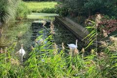 IMG-20240914-WA0011