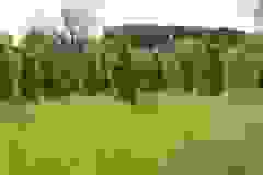 IMG-20240525-WA0007