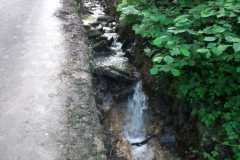 IMG-20240525-WA0022