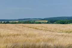 IMG-20250616-WA0022