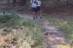 IMG-20250920-WA0008