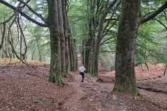 IMG-20250920-WA0011