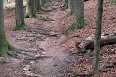IMG-20250920-WA0012