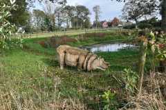 IMG-20241019-WA0006