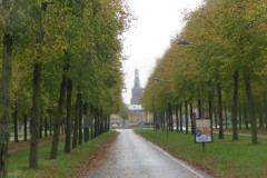 IMG_7480