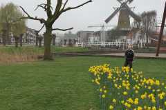 IMG-20260307-WA0000