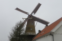 IMG_0575