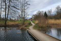IMG-20250322-WA0005