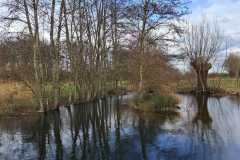 IMG-20250322-WA0007