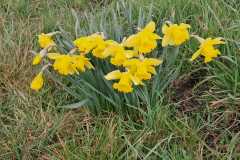 IMG-20250322-WA0012