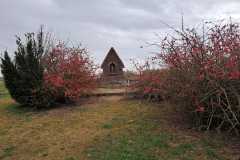 IMG-20250322-WA0019