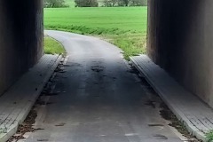 20241004_174240